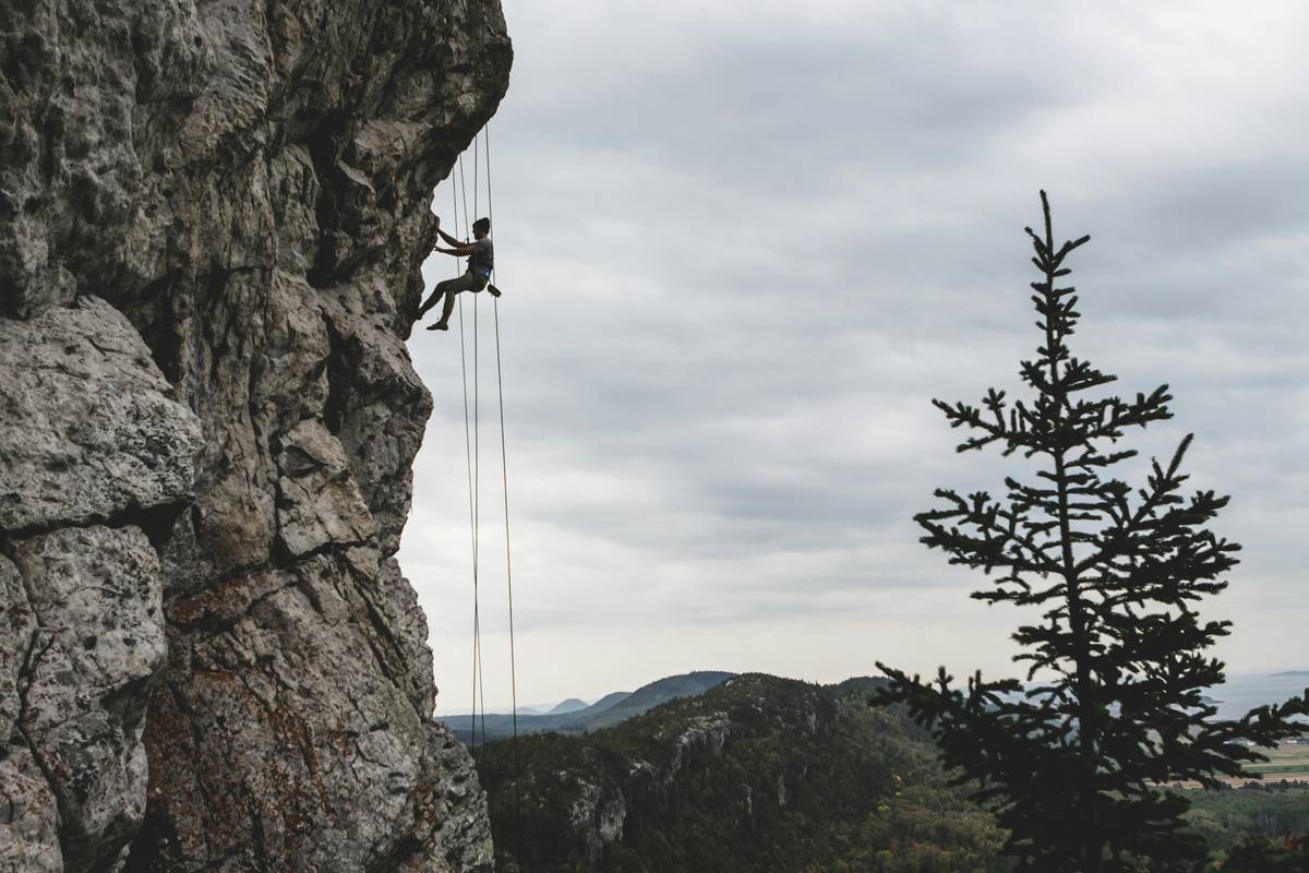 Active Cam Placement Guides: Stop Guessing, Start Anchoring